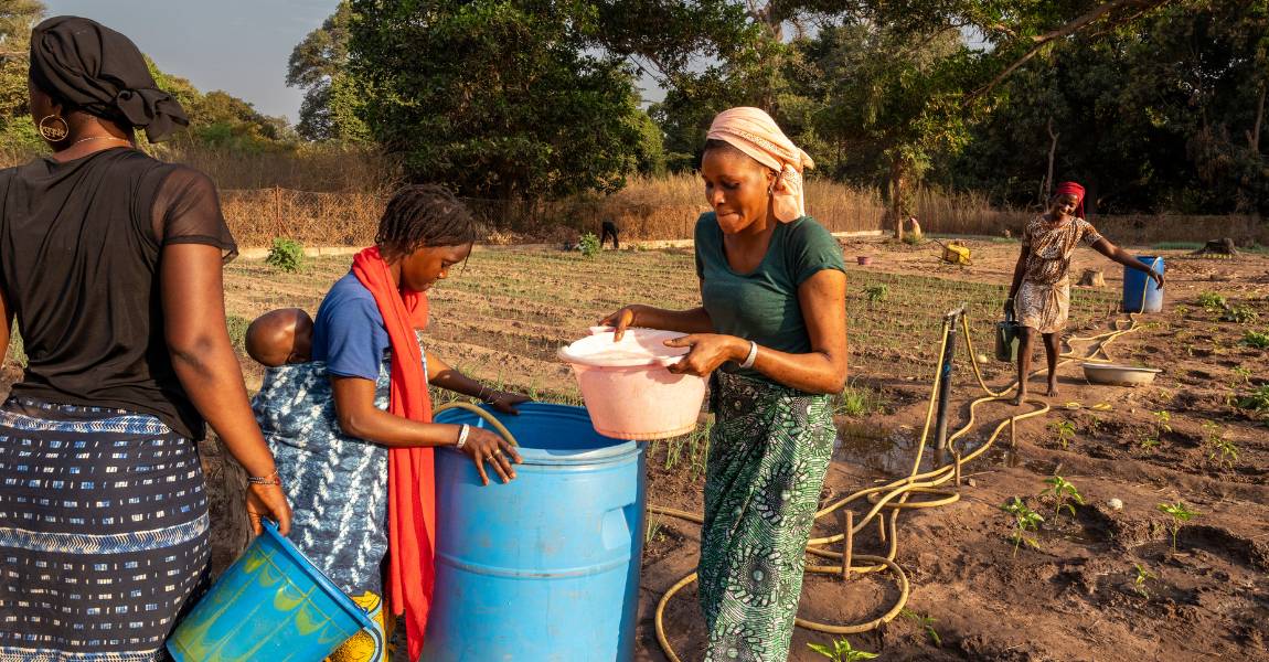 Women market gardeners working in their field in Casamance, Senegal