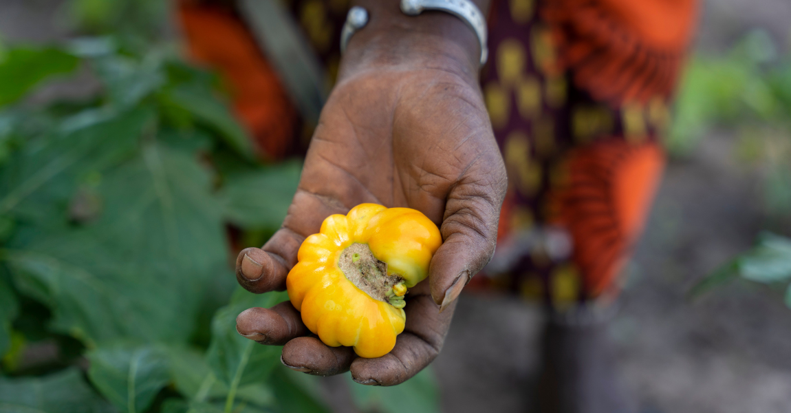 Une promesse d'avenir meilleur : les produits des champs soutenus par EGALES