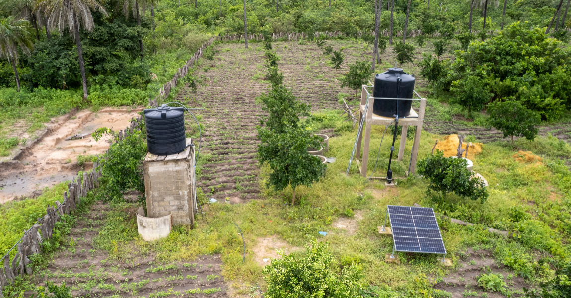 Solar systems within CASELEC project