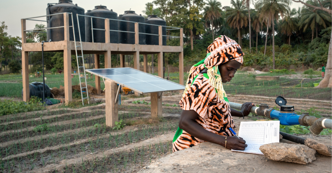 Femme effectuant des tâches administratives dans un champ cultivé, Casamance, Sénégal