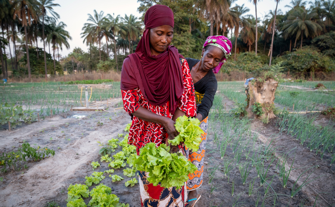 Femmes maraîchères de Casamance, Sénégal