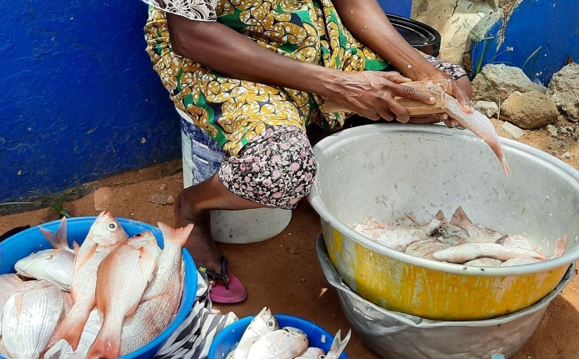 In Togo, Geres’ action helps women fish processors earn a better living.
