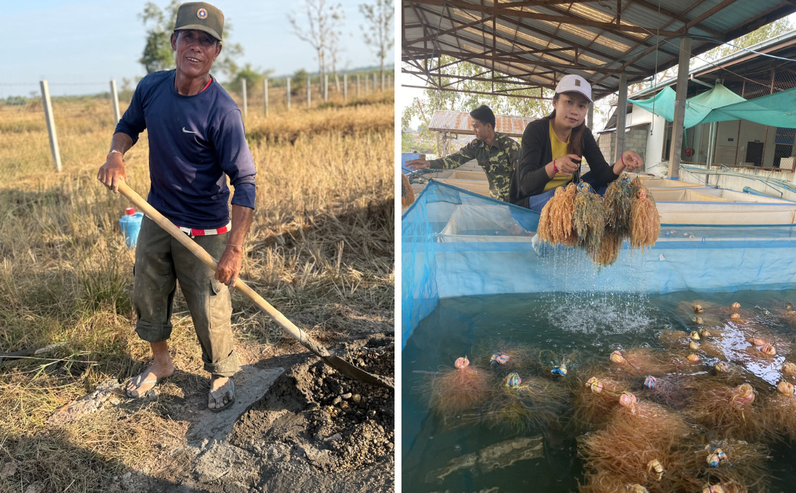 From farming to seaweed