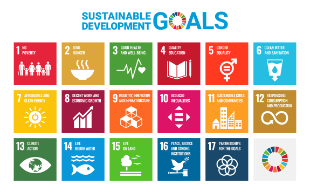 SDG's are seventeen goals to reach for human development