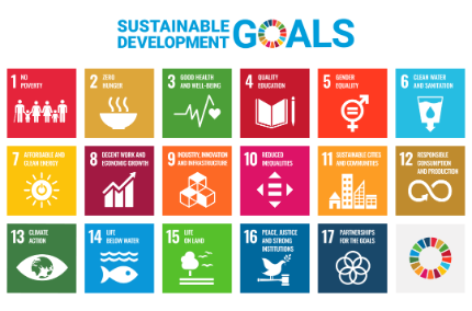 SDG's are seventeen goals to reach for human development
