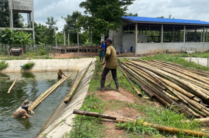 The rice-fish farming pond is the starting point of the Mekong projects